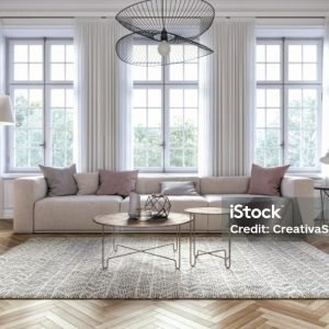 Scandinavian interior design living room 3d render with gray colored furniture and wooden elements